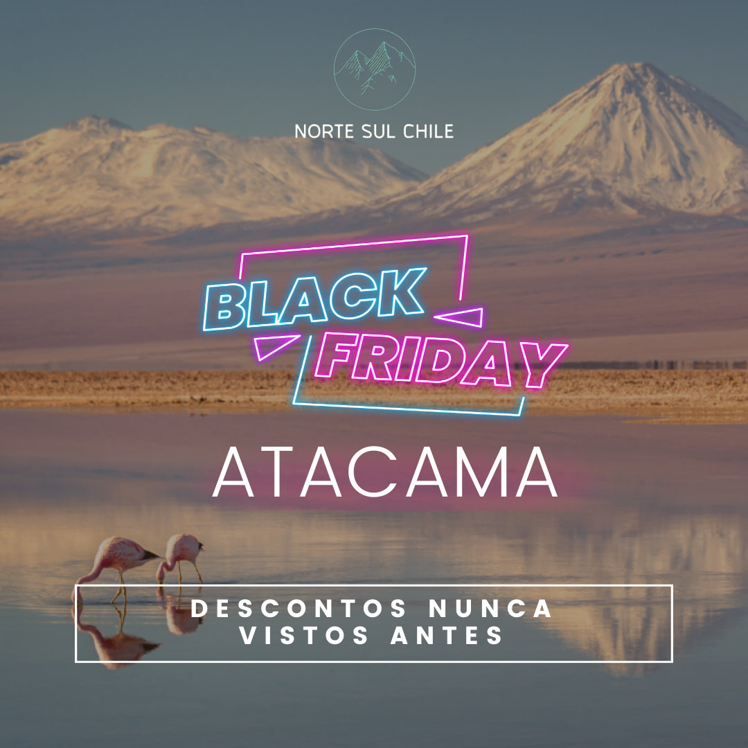 Black Friday Atacama