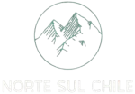 Logo-Norte-Sul-Chile.webp